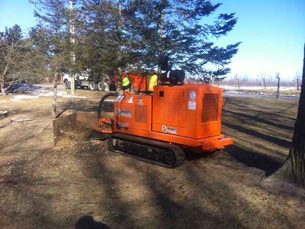 Stump Grinding