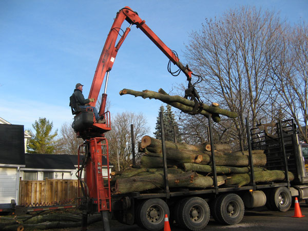 Log removal