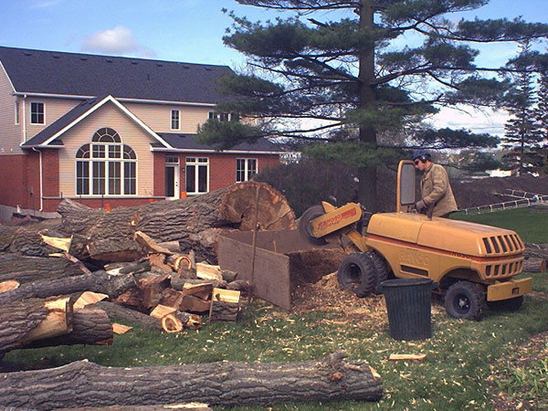 Stump removal